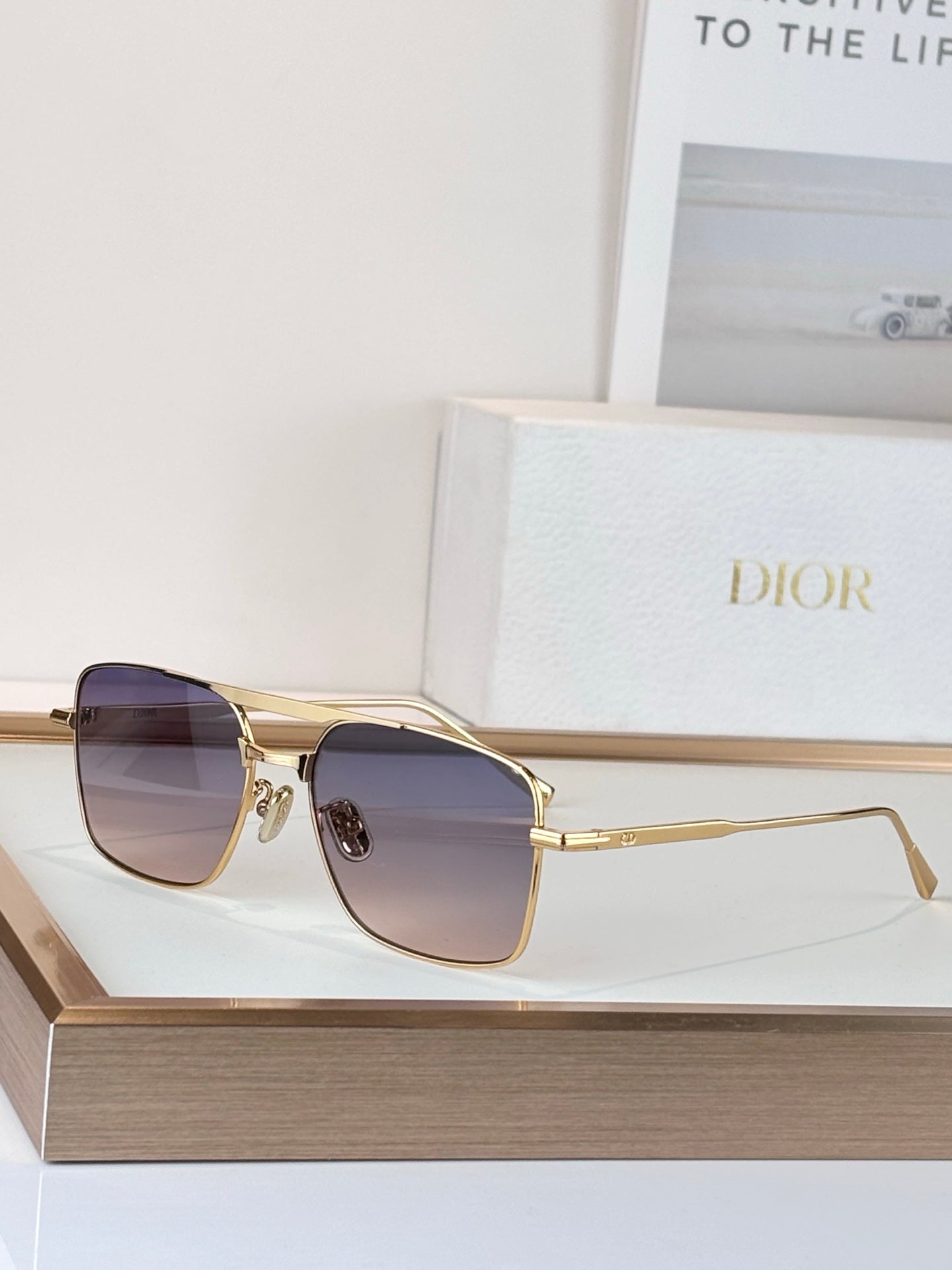 Dior Sunglasses-DIORBLACKSUIT s17U